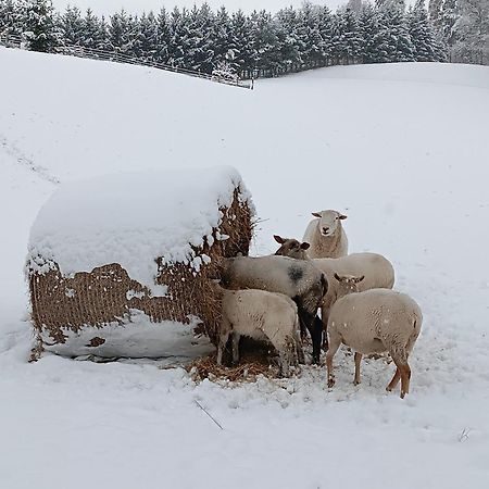 Ubytování Na Vejminku Rtyne v Podkrkonosi Esterno foto