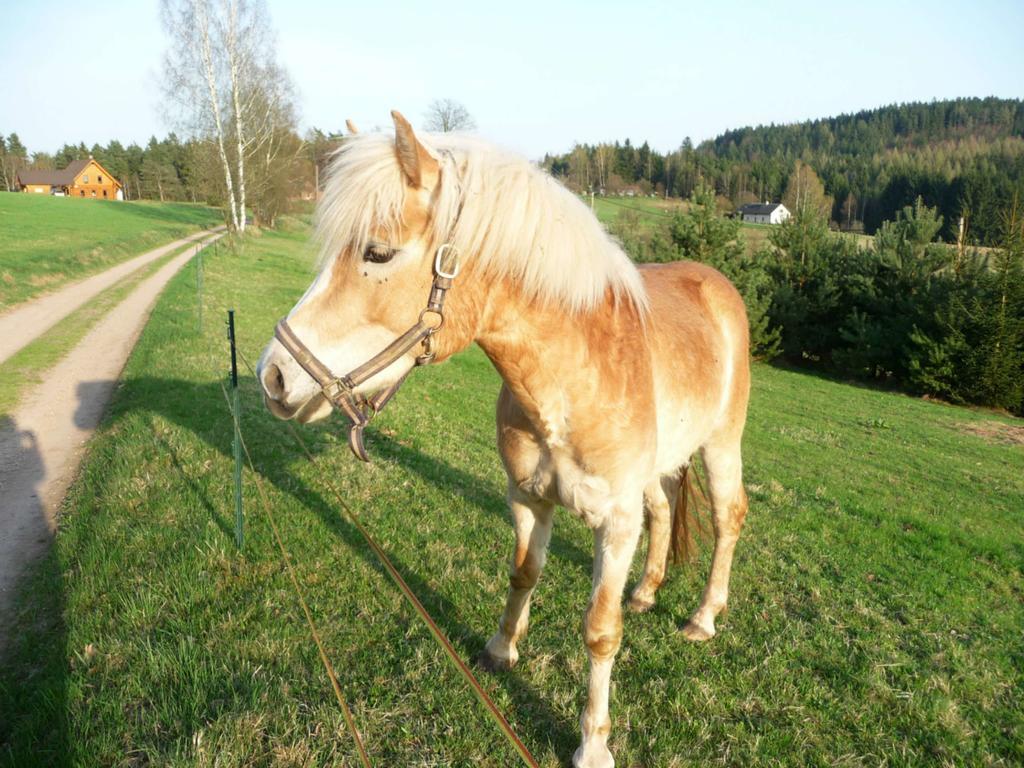 Ubytování Na Vejminku Rtyne v Podkrkonosi Esterno foto