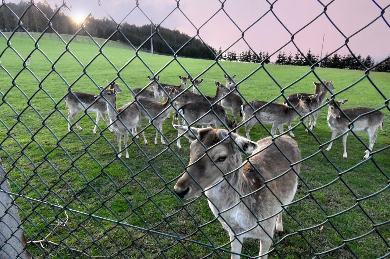 Ubytování Na Vejminku Rtyne v Podkrkonosi Esterno foto