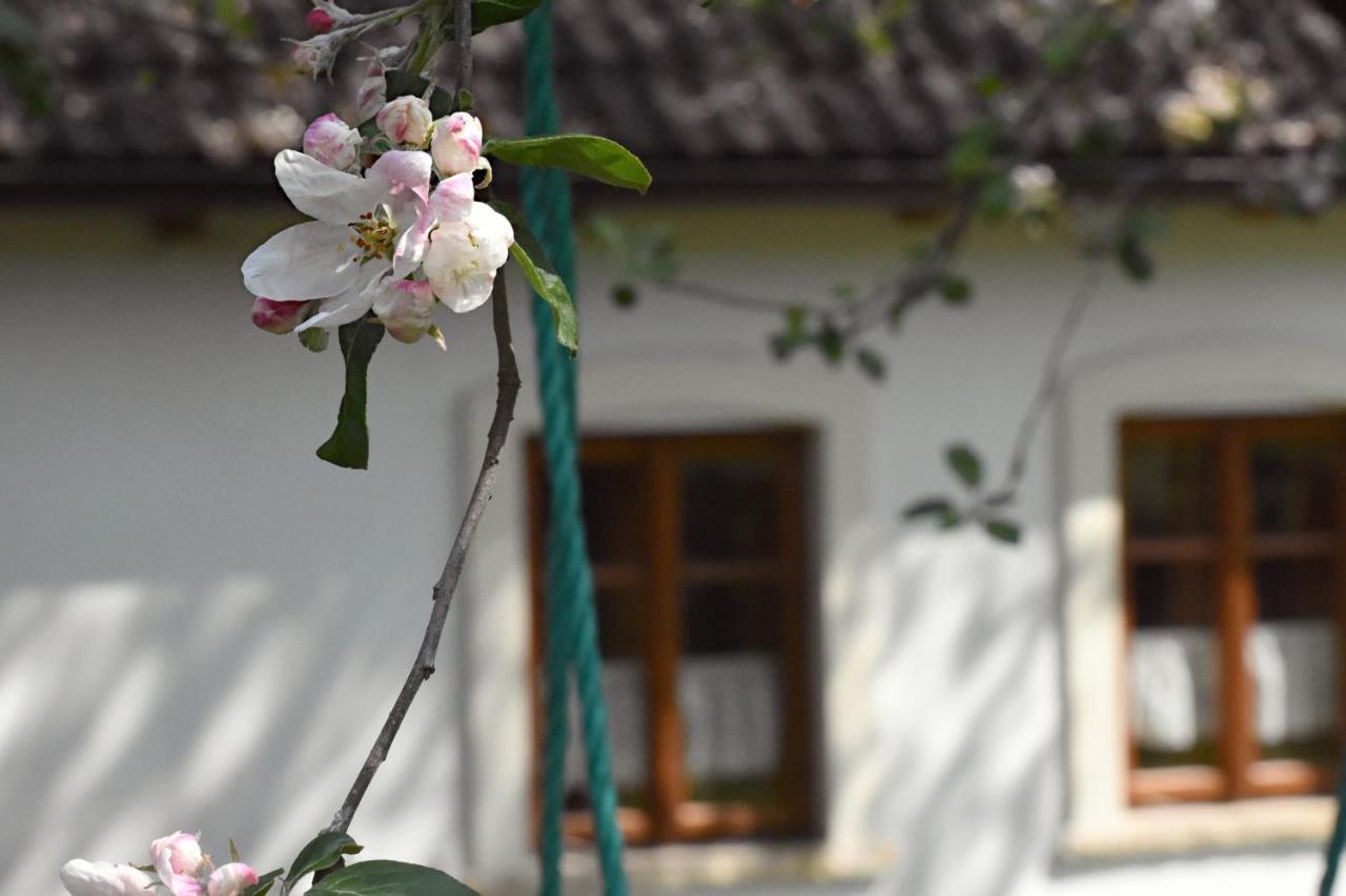 Ubytování Na Vejminku Rtyne v Podkrkonosi Esterno foto